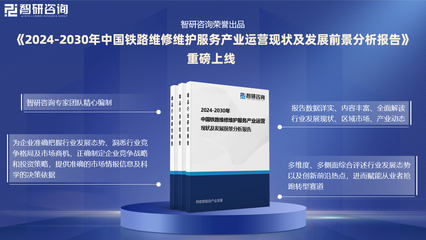 中国铁路维修维护服务行业发展环境、市场运行态势及前景研究报告